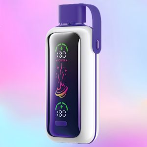 Vozol Star 20000 Grape Ice - Vozol Vape Estonia