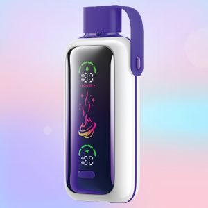 Vozol Star 20000 Raspberry Watermelon - Vozol Vape Estonia
