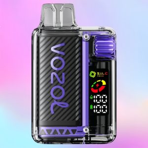 Vozol Vista 20000 Grape Ice Maitse - Vozol Vape Estonia