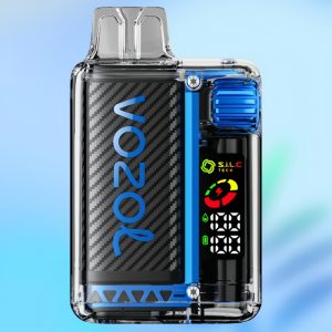 Vozol Vista 20000 Mr. Blue Maitse - Vozol Vape Estonia
