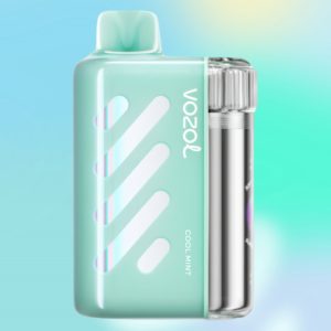 Vozol Vista 40000 Cool Mint - Vozol Vape Estonia