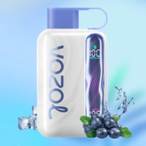 Vozol Star 40000 Blueberry Ice - Vozol Vape Estonia