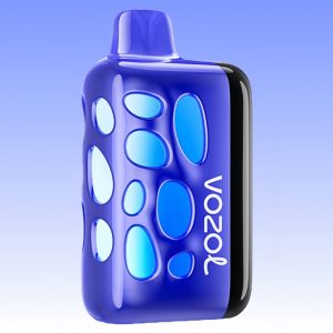 Vozol Rave 40000 Blueberry Ice Maitse - Vozol Vape Estonia