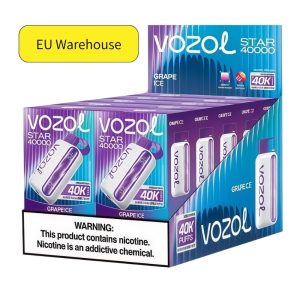 1 Box From European Warehouse (10pcs) - Vozol Vape Estonia