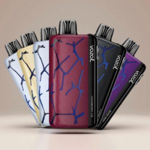 1 Box From European Warehouse (10pcs) - Vozol Vape Estonia